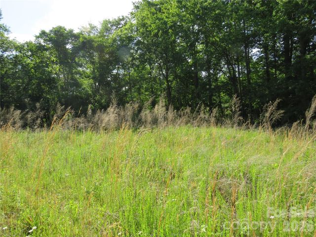 0 Blue Sapphire Lane, Rutherfordton, NC 28139