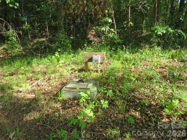 0 Blue Sapphire Lane, Rutherfordton, NC 28139
