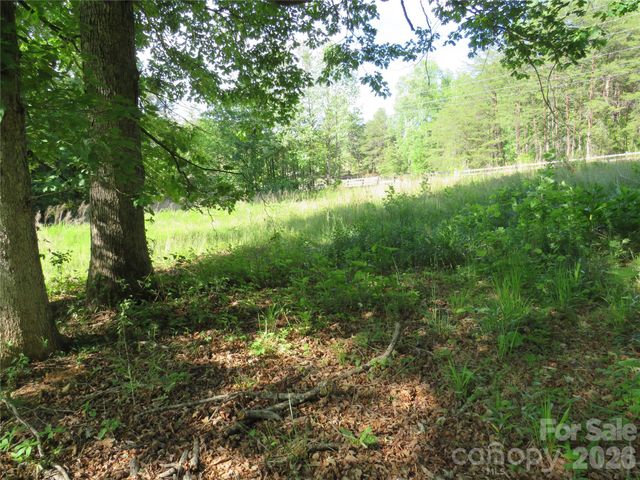 0 Blue Sapphire Lane, Rutherfordton, NC 28139
