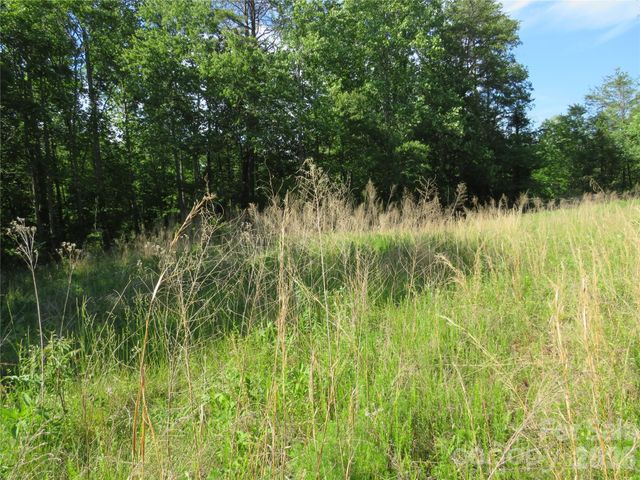 0 Blue Sapphire Lane, Rutherfordton, NC 28139