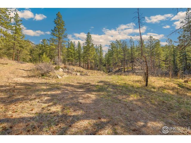 755 Fox Creek Rd, Glen Haven, CO 80532