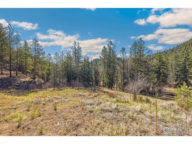 755 Fox Creek Rd, Glen Haven, CO 80532