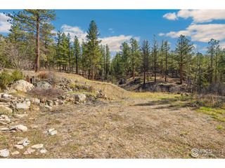 755 Fox Creek Rd, Glen Haven, CO 80532