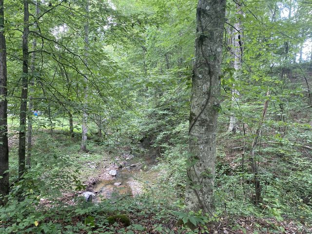 326 Sherman Rd, Charlotte, TN 37036