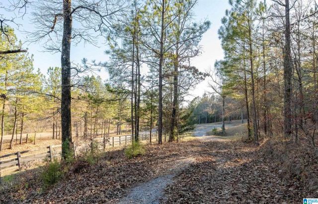 Lot 5 HERITAGE LAKE DRIVE, Columbiana, AL 35051