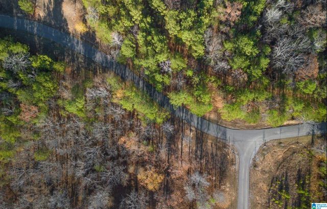 Lot 5 HERITAGE LAKE DRIVE, Columbiana, AL 35051