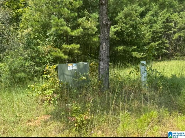 Lot 5 HERITAGE LAKE DRIVE, Columbiana, AL 35051