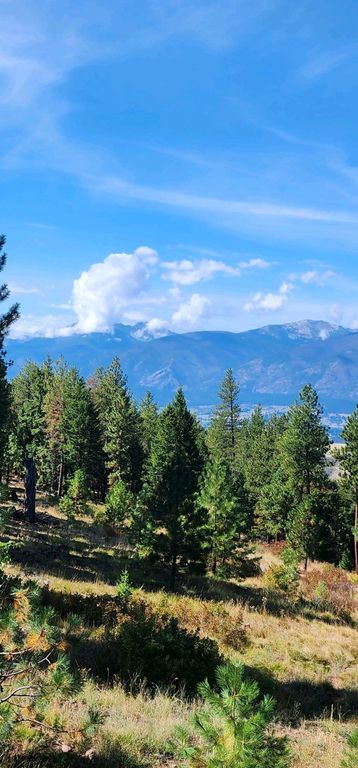 NHN Copper Ridge Road, Florence, MT 59833 photo 6