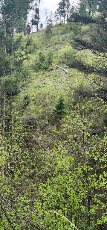 NHN Copper Ridge Road, Florence, MT 59833 photo 7