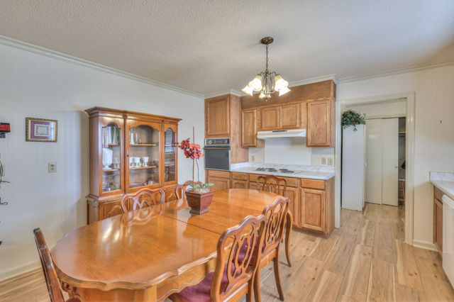 703 Dow Dr, Shelbyville, TN 37160