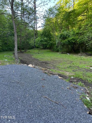 4406 Lawson Hollow Road, Coeburn, VA 24230