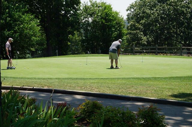 305 Wimbledon Drive 12, Branson, MO 65616