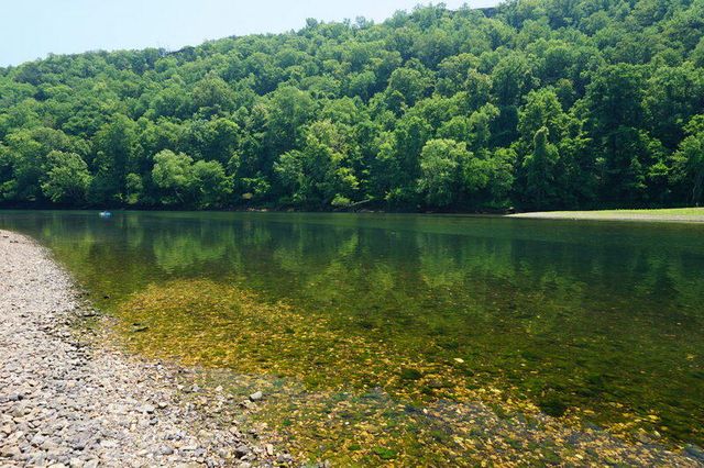 305 Wimbledon Drive 12, Branson, MO 65616