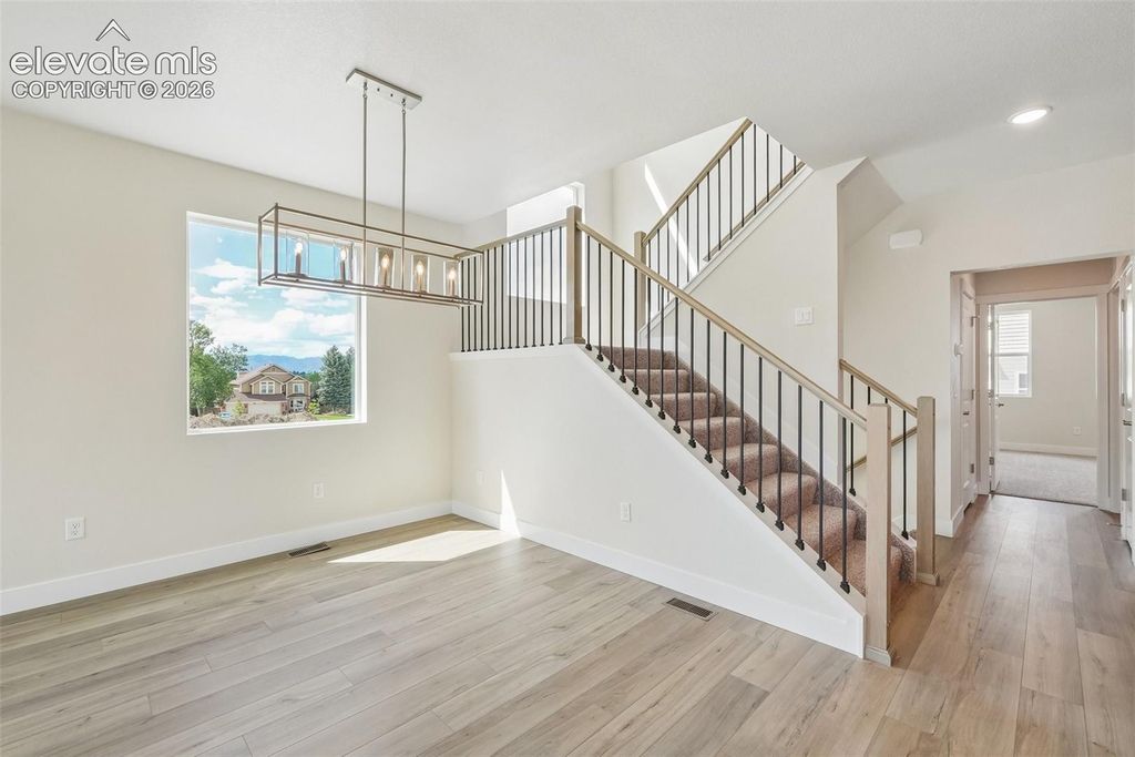 3005 Curly Grove, Colorado Springs, CO 80922 — photo 5