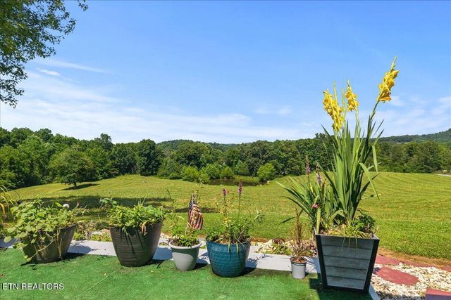 910 Reagan Valley Road, Tellico Plains, TN 37385