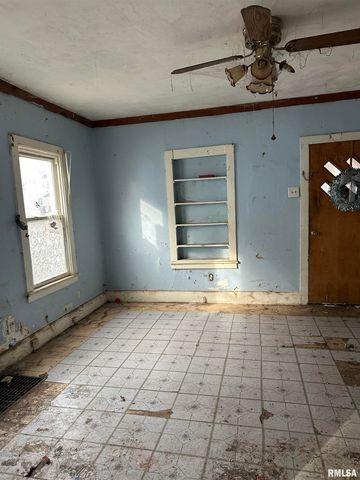 128 ASH Street, Canton, IL 61520