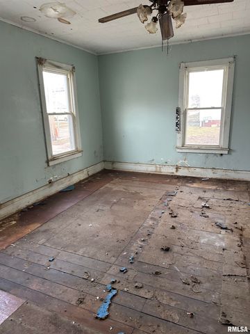 128 ASH Street, Canton, IL 61520