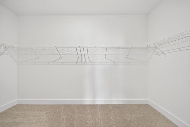 3920 Trinity Woods Rd, Columbia, TN 38401