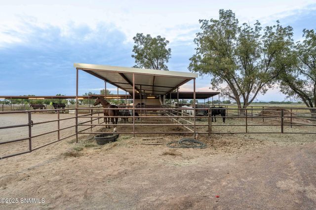 7003 McNutt Road, Anthony, NM 88021