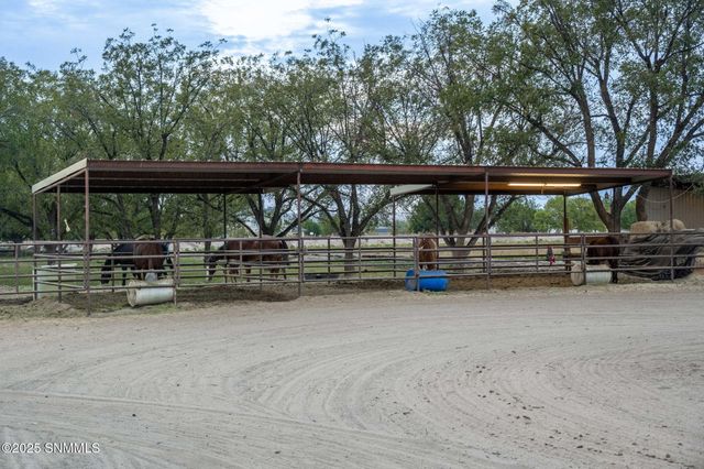 7003 McNutt Road, Anthony, NM 88021