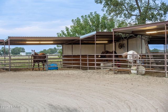 7003 McNutt Road, Anthony, NM 88021