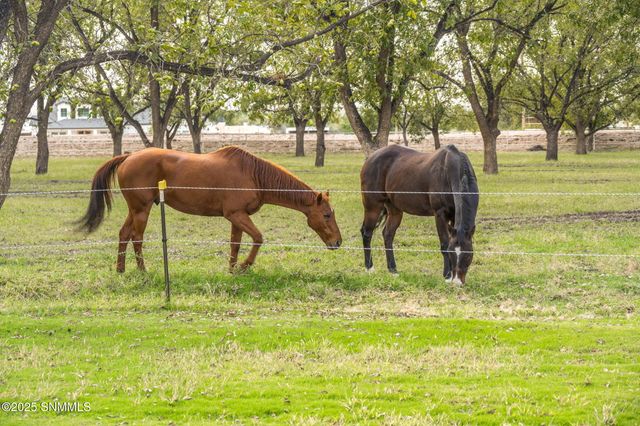 7003 McNutt Road, Anthony, NM 88021