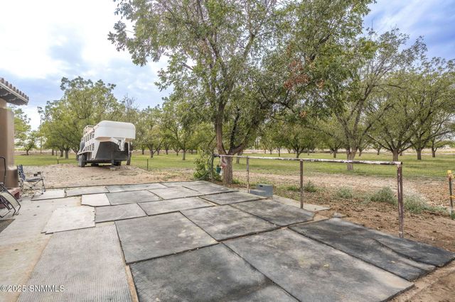 7003 McNutt Road, Anthony, NM 88021