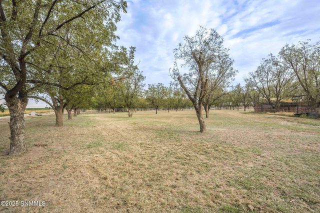 7003 McNutt Road, Anthony, NM 88021