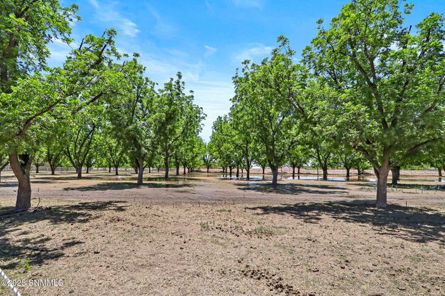 7003 McNutt Road, Anthony, NM 88021