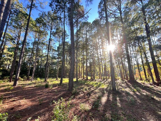 Lot 25 W Captain Fritz Way, Freeport, FL 32439