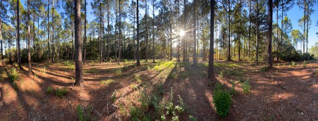 Lot 25 W Captain Fritz Way, Freeport, FL 32439