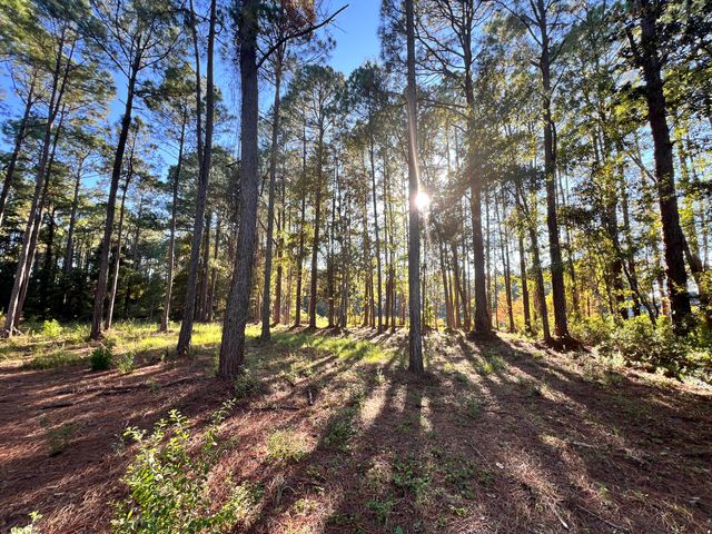 Lot 25 W Captain Fritz Way, Freeport, FL 32439