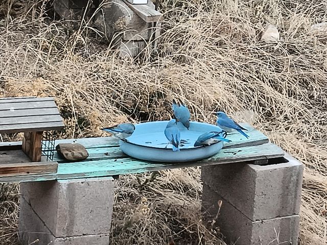 3 Glacier Lane, Edgewood, NM 87015