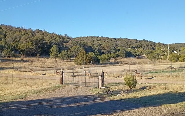 3 Glacier Lane, Edgewood, NM 87015