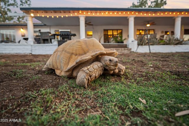 2032 E EUCLID Avenue, Phoenix, AZ 85042