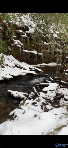 2510 Dean Road NE, Fort Payne, AL 35967