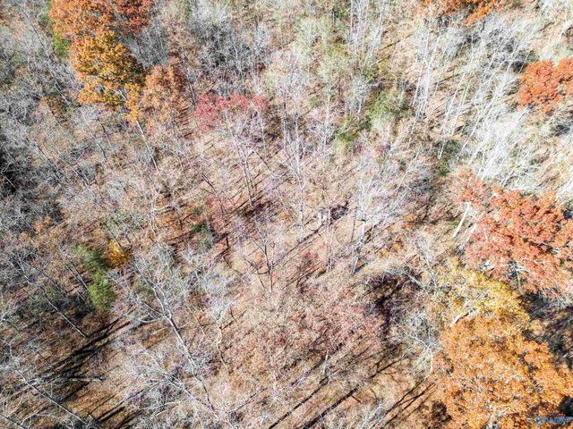 2510 Dean Road NE, Fort Payne, AL 35967