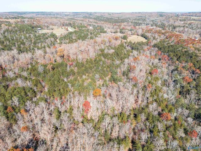 2510 Dean Road NE, Fort Payne, AL 35967