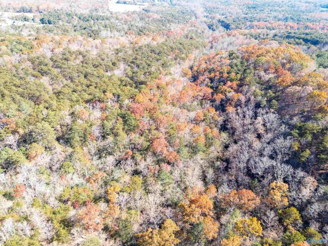 2510 Dean Road NE, Fort Payne, AL 35967