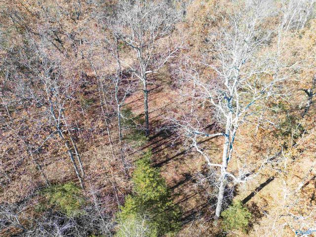 2510 Dean Road NE, Fort Payne, AL 35967