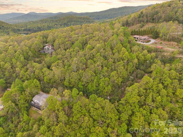 TBD Pinnacle Mountain Road, Zirconia, NC 28790
