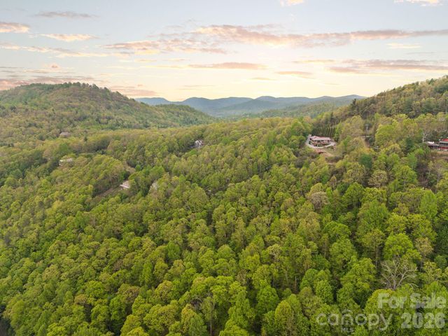 TBD Pinnacle Mountain Road, Zirconia, NC 28790