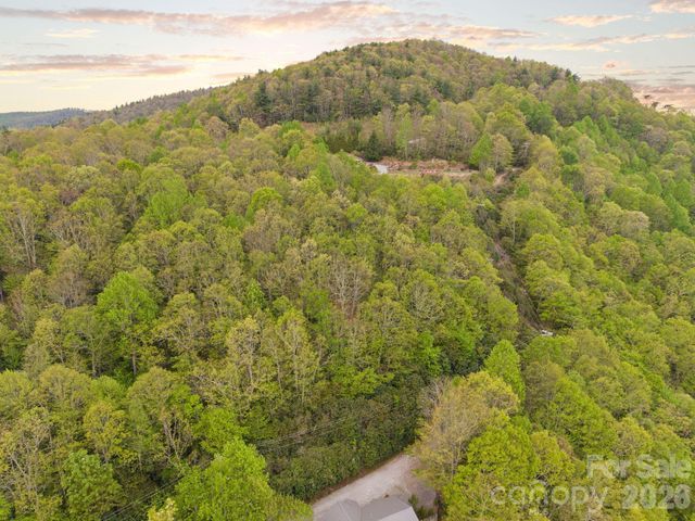 TBD Pinnacle Mountain Road, Zirconia, NC 28790