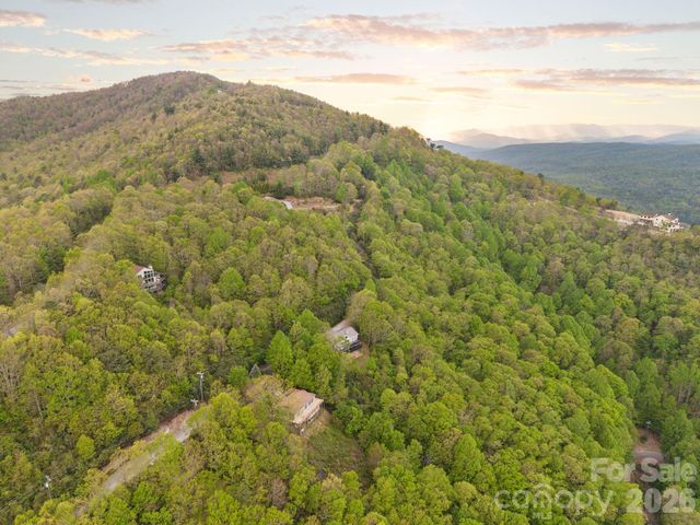 TBD Pinnacle Mountain Road, Zirconia, NC 28790