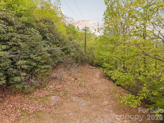 TBD Pinnacle Mountain Road, Zirconia, NC 28790