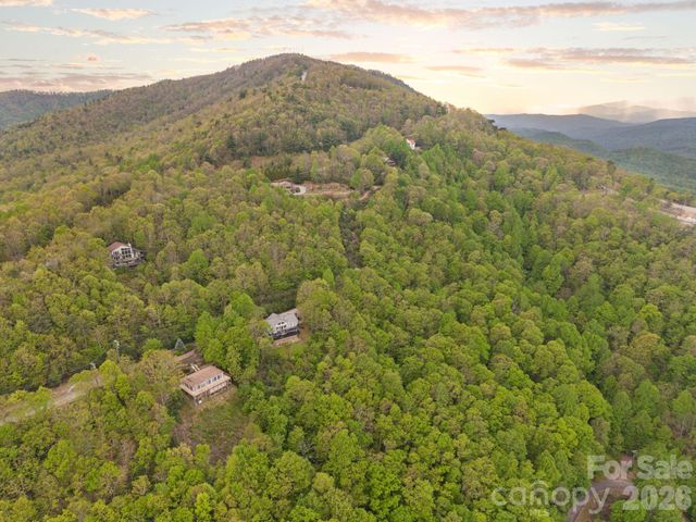 TBD Pinnacle Mountain Road, Zirconia, NC 28790