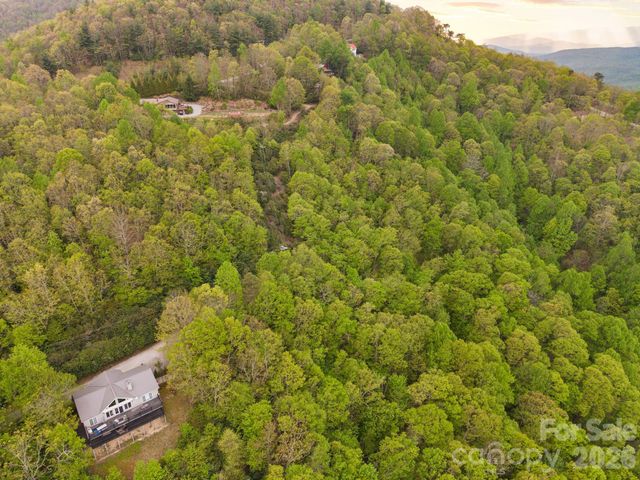 TBD Pinnacle Mountain Road, Zirconia, NC 28790