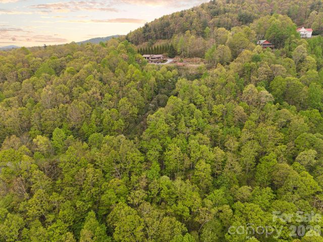 TBD Pinnacle Mountain Road, Zirconia, NC 28790