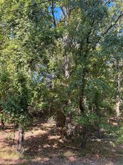 TBD Joanna Hill, Livingston, TX 77351