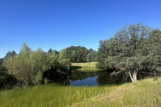 7436 Eagle View Dr, Mountain Ranch, CA 95246
